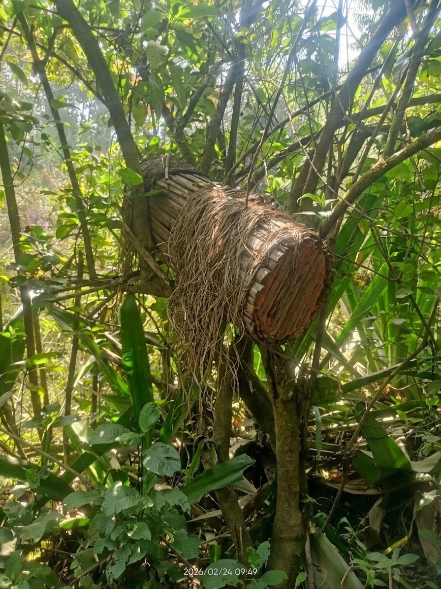 Bee Farming in Mbiame