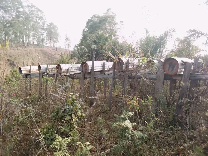 Bee Farm in Mbiame
