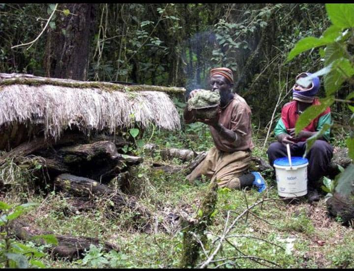 Mbiame Bee Farmers Harvesting Honey