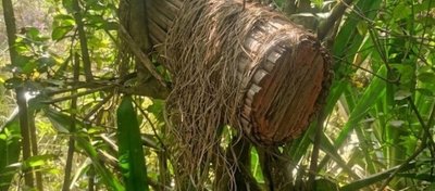 Bee Farming In Mbiame