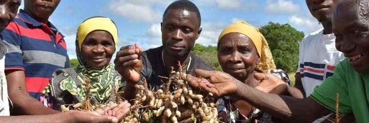 Farmers In Mbiame 