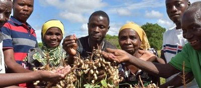 Farmers In Mbiame 