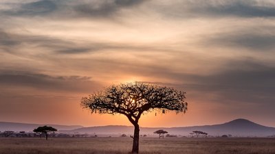 Arid cracked earth landscape representing the great drought of 1972